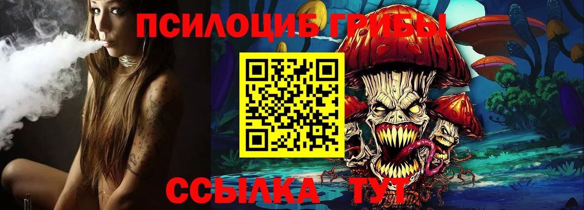 Галлюциногенные грибы ЛСД  купить наркотики сайты  Вход с VPN  Химки  Галлюциногенные грибы мухоморы 