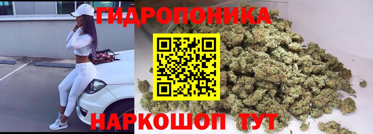 МАРИХУАНА конопля Химки